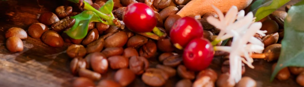 Koa Coffee Origins & Why It Matters