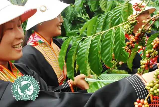 Rainforest Alliance Ethics, Verified