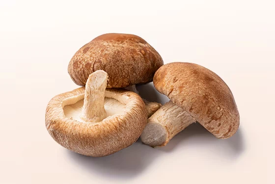 Ryze Coffee Ingredient Shiitake